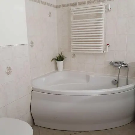 Apartmán Duze Mieszkanie - Bitwy Pod Plowcami